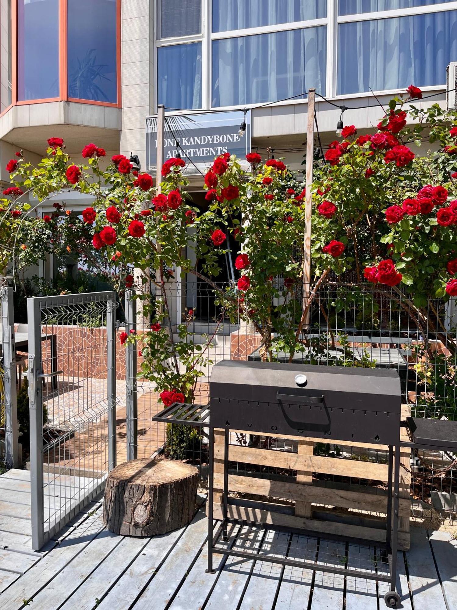 Done Kandybone Apartments Burlach'ya Balka Buitenkant foto